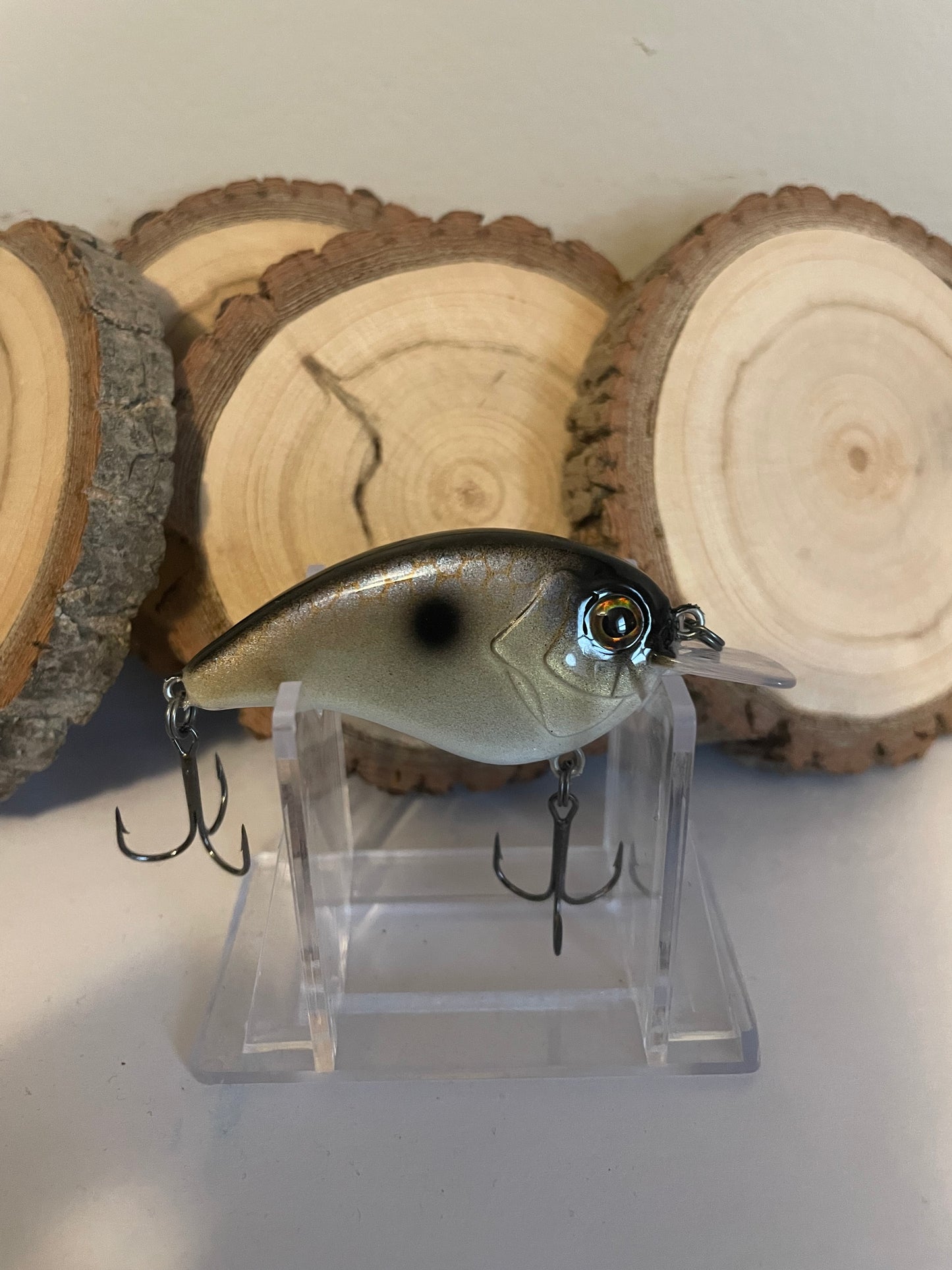 Gizzard Shad-Flatside Crank