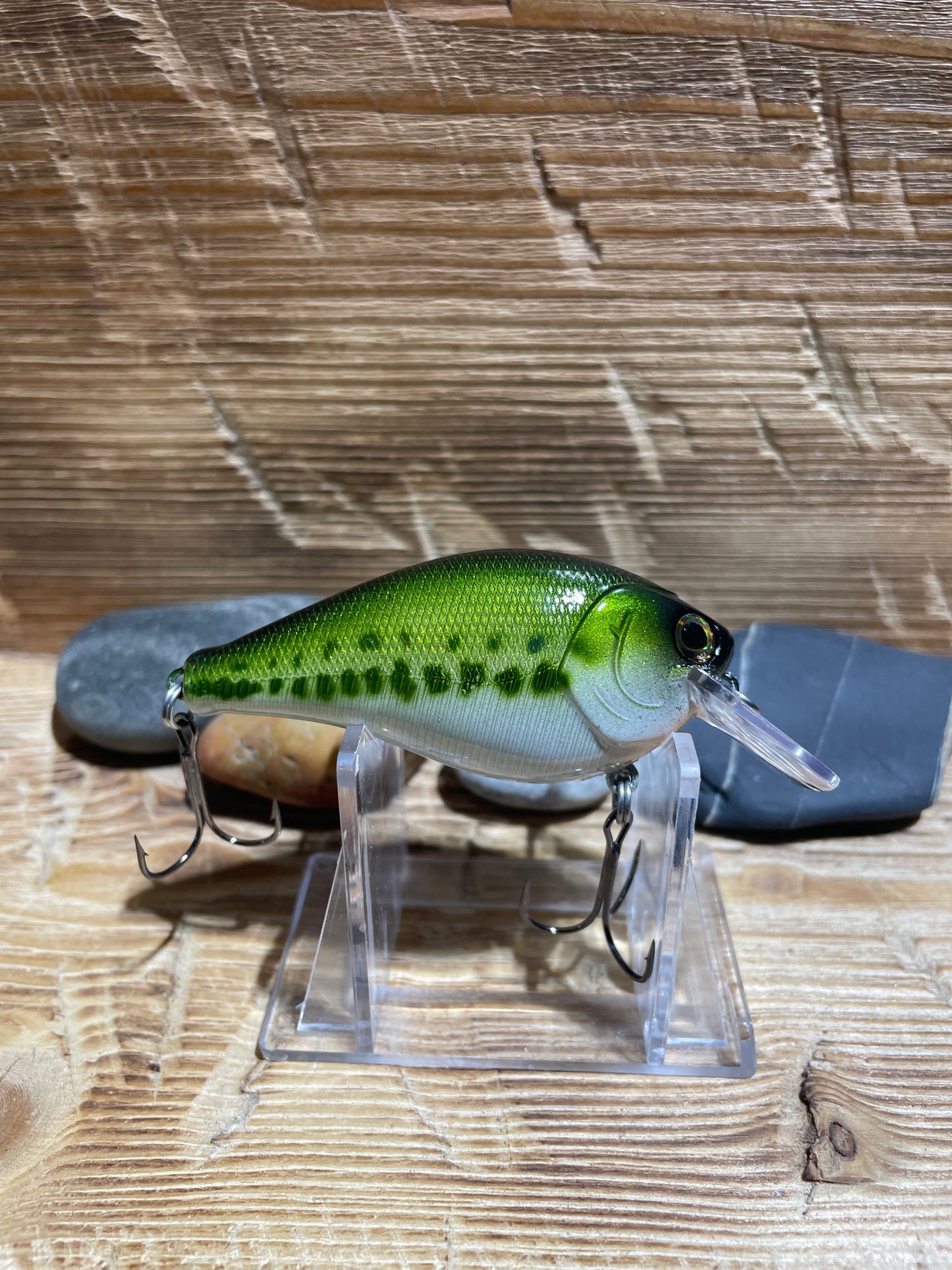 2.5 Squarebill