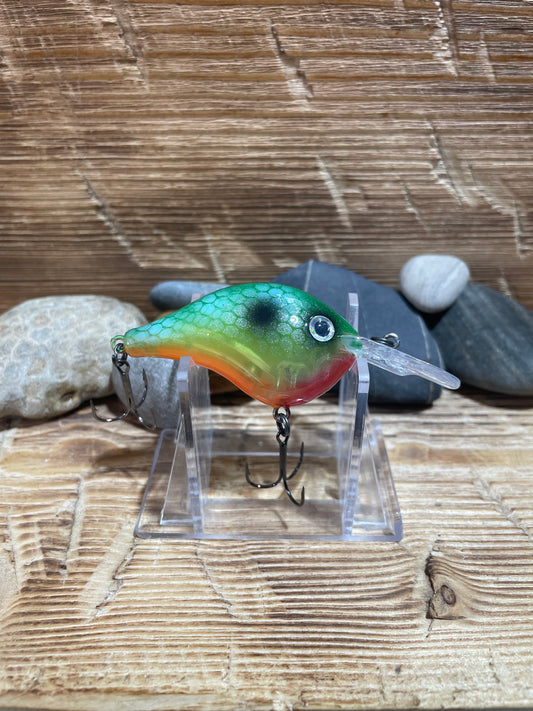 Citrus Shad-DDT6 Crankbait