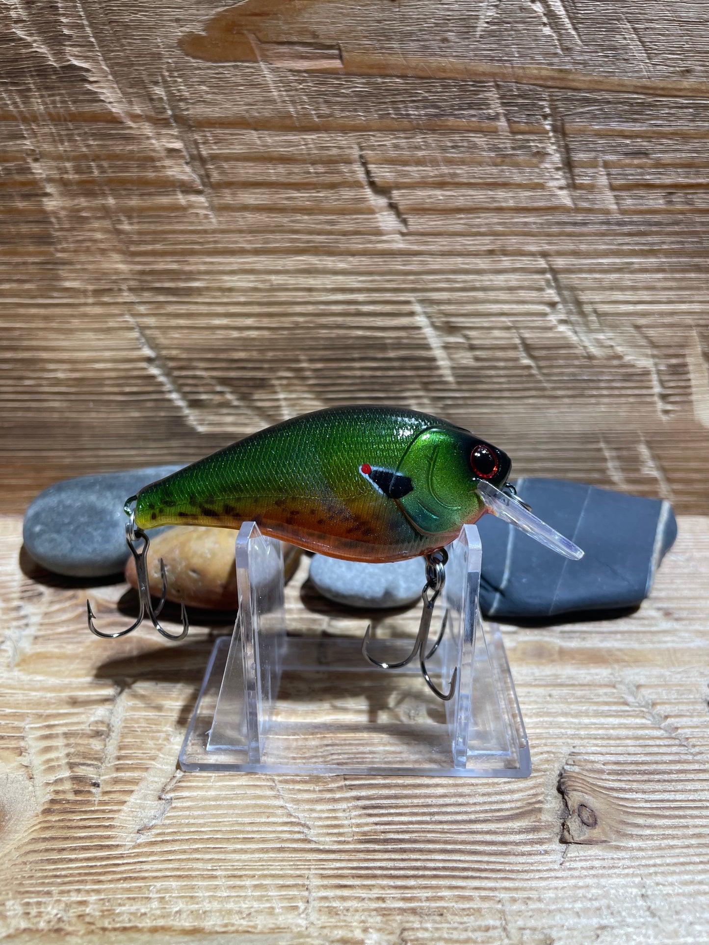 2.5 Squarebill