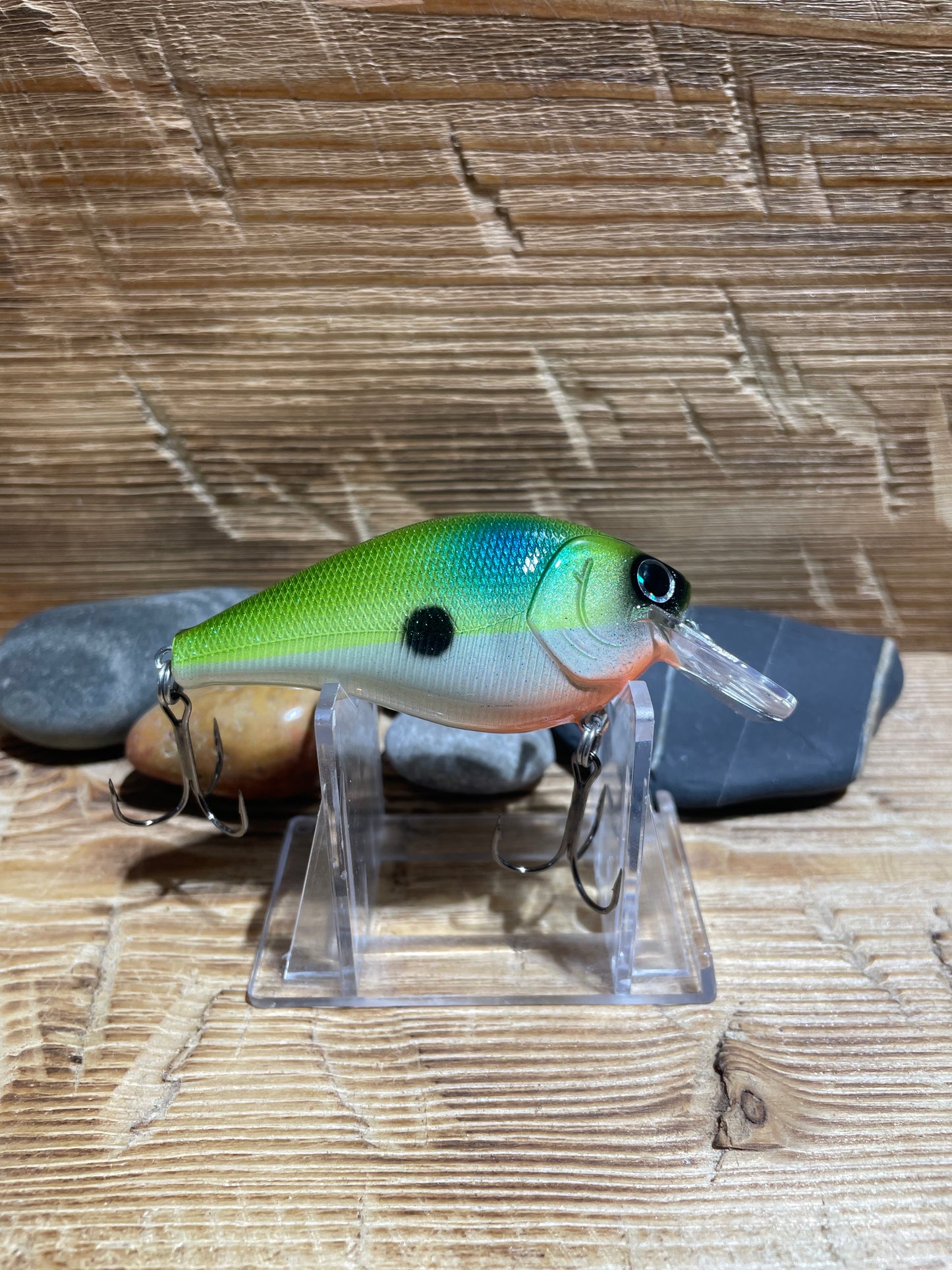 2.5 Squarebill