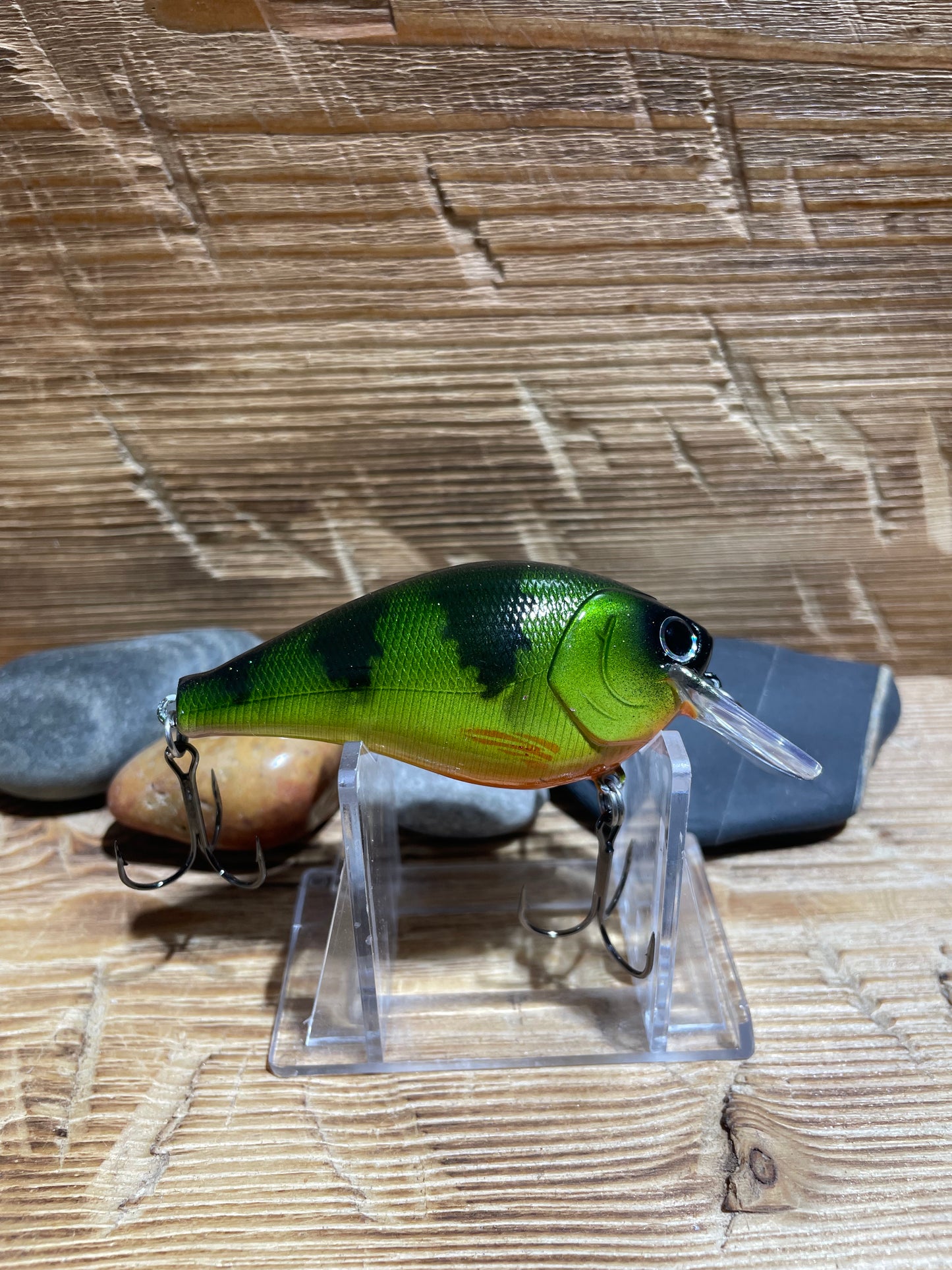 2.5 Squarebill