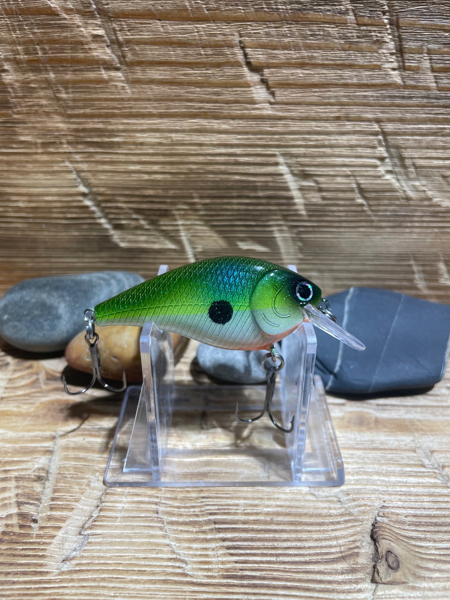1.5 Squarebill