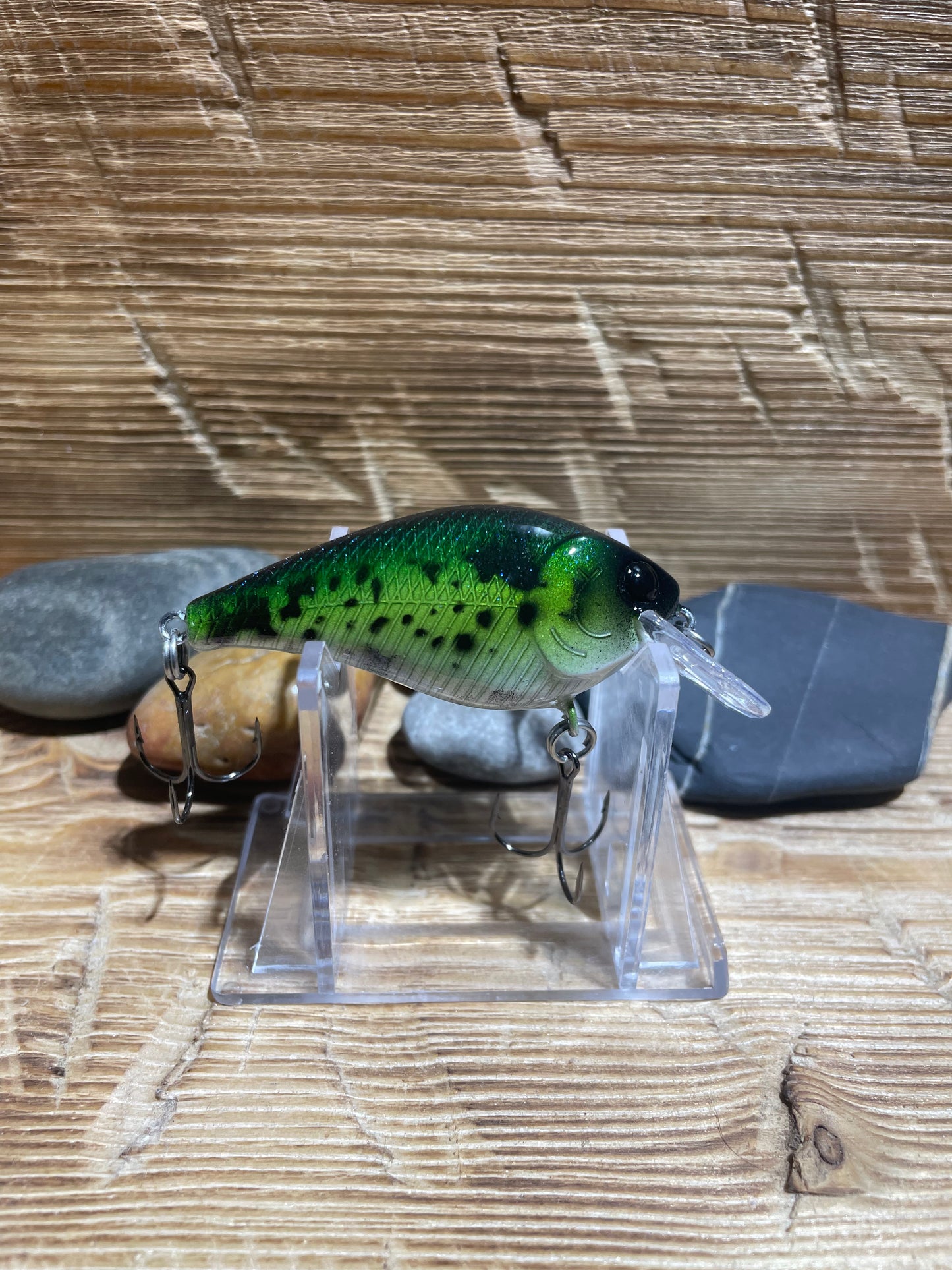 1.5 Squarebill