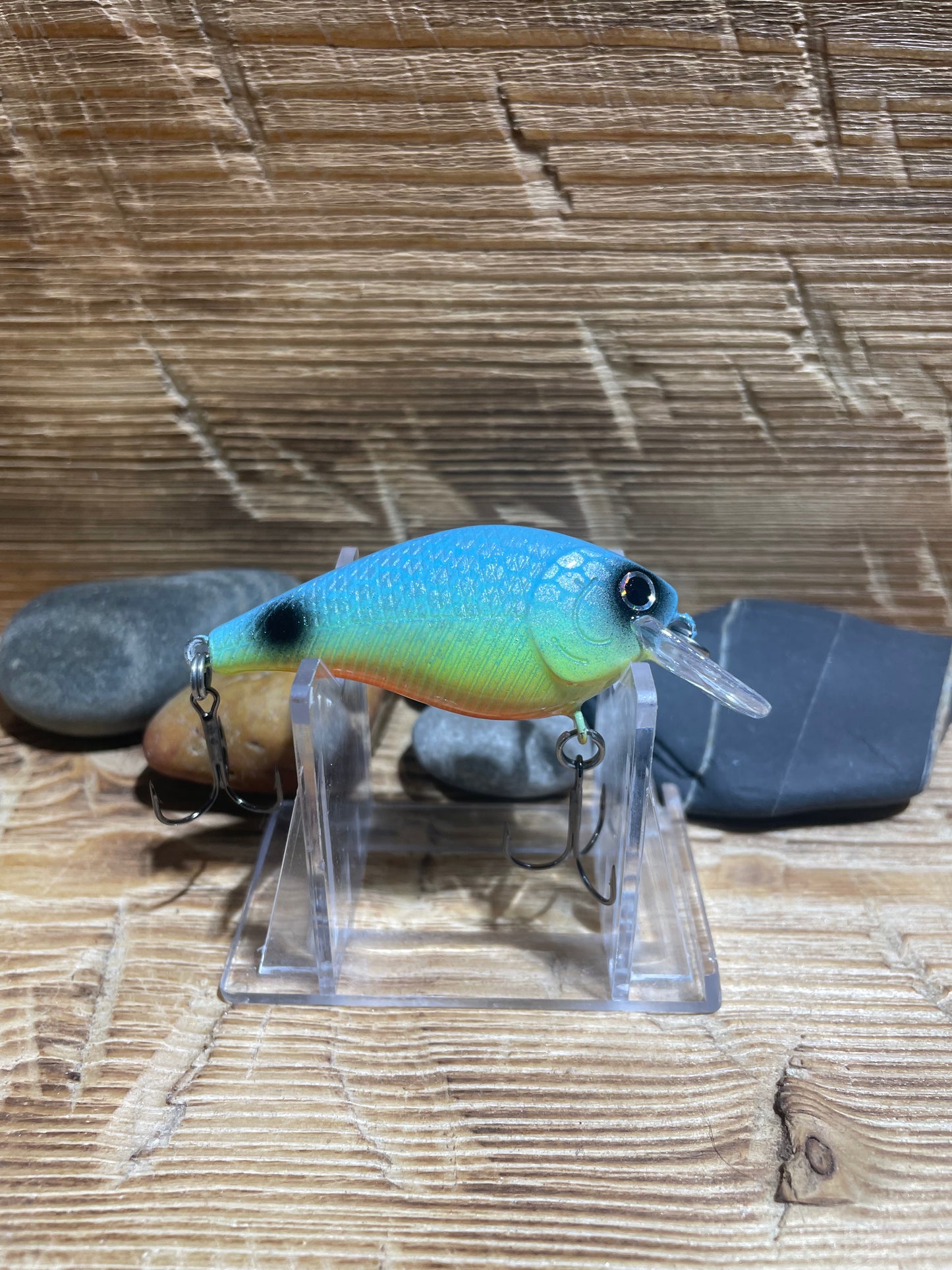 1.5 Squarebill