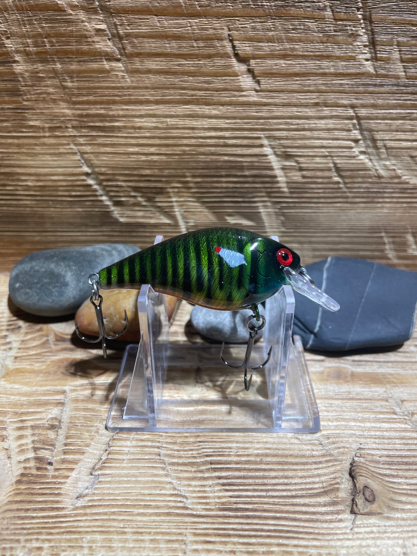 1.5 Squarebill