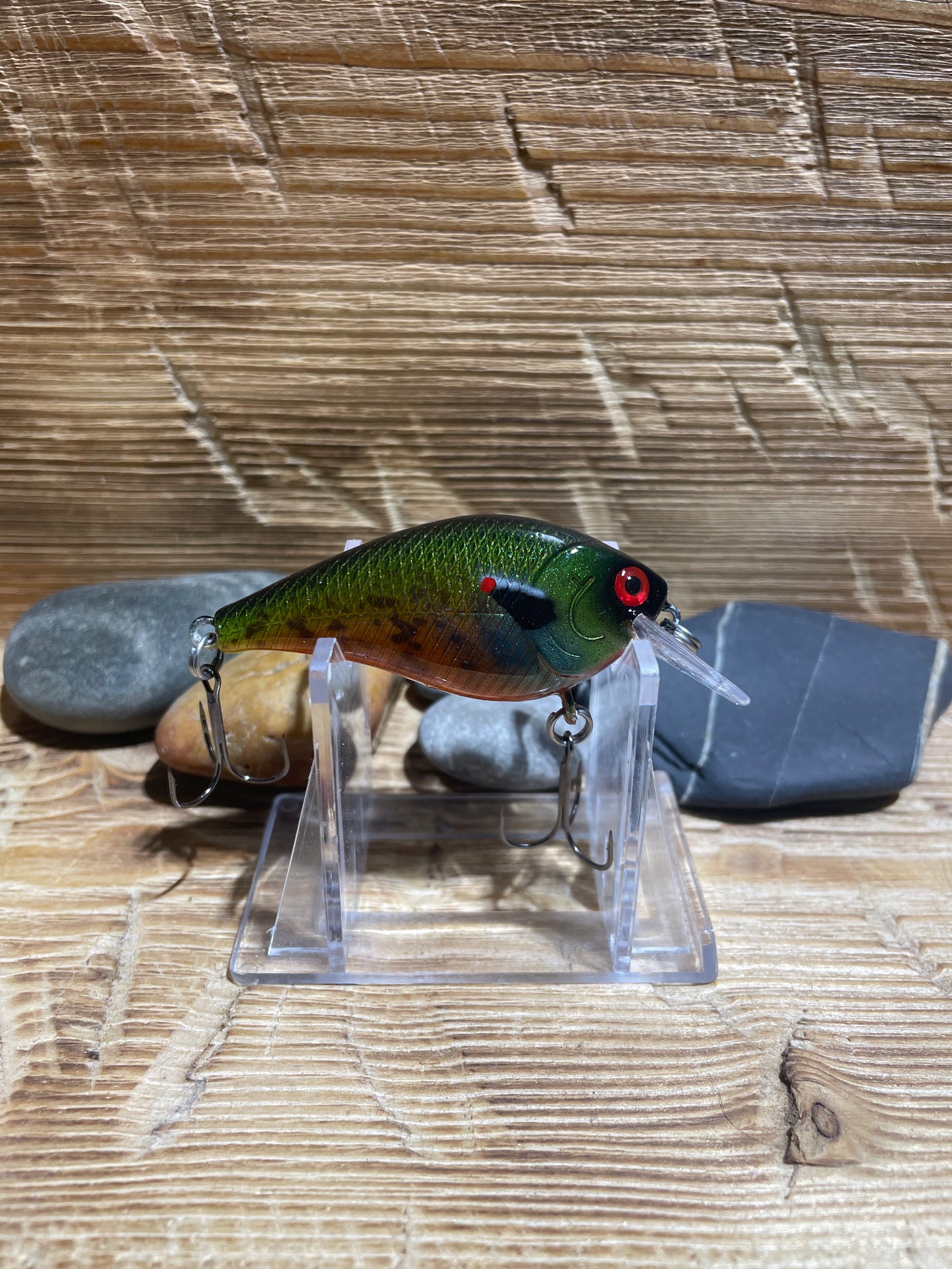 1.5 Squarebill