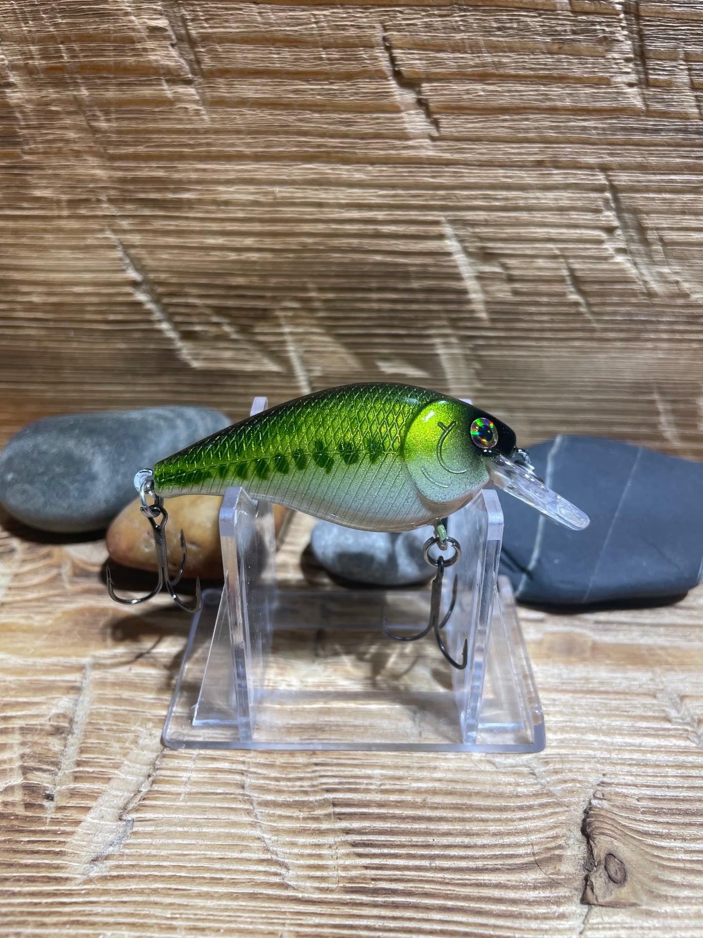 1.5 Squarebill